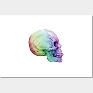 Rainbow Skull Posters and Art